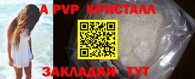 крисы Новокубанск