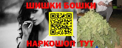 крисы Новокубанск