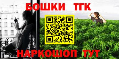 СК Новодвинск
