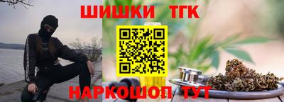 СК Новодвинск