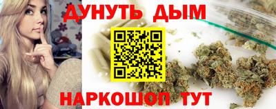 крисы Новокубанск
