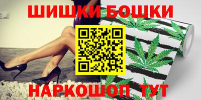 СК Новодвинск