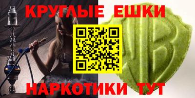 СК Новодвинск