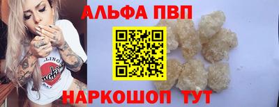 СК Новодвинск
