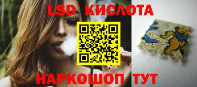 СК Новодвинск