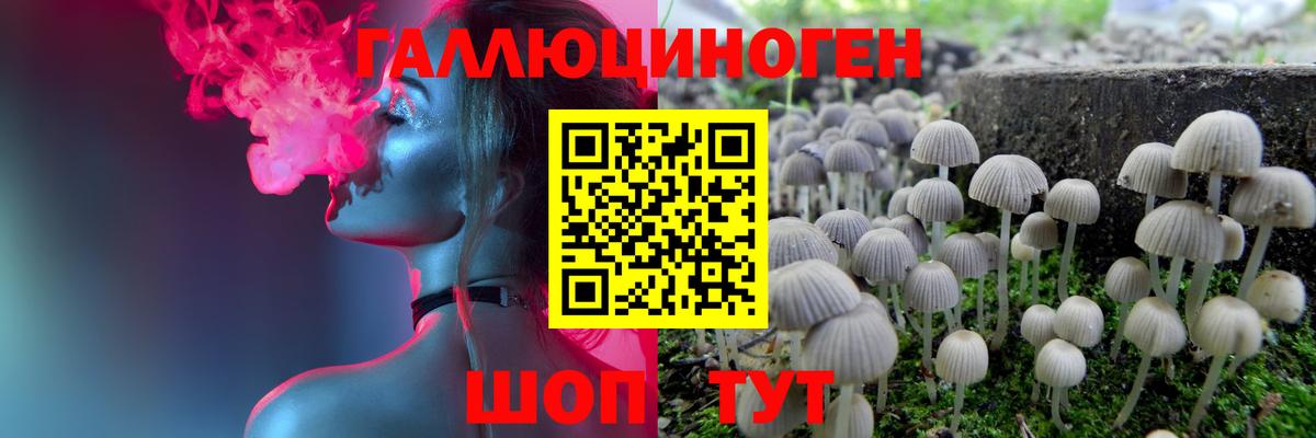 Галлюциногенные грибы прущие грибы  Вход с VPN  Торжок 
